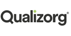Qualizorg Logo 240